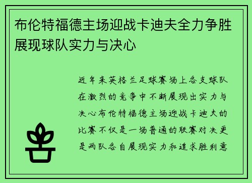 布伦特福德主场迎战卡迪夫全力争胜展现球队实力与决心